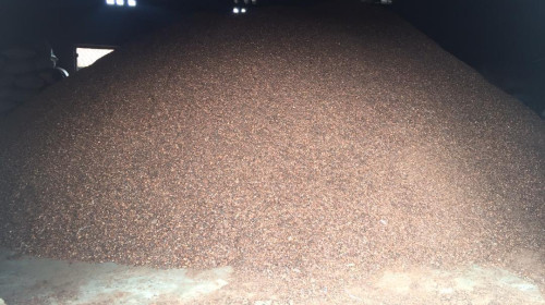 Nestlé and Cargill to create low-carbon fertilizer from cocoa shell waste