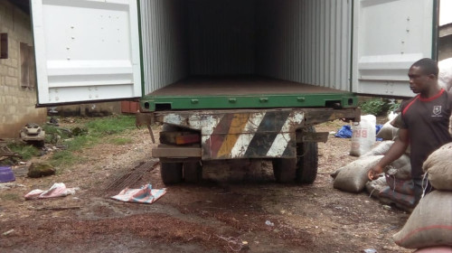 Scientists find shocking new use for cocoa beans that could affect our entire planet — and it has nothing to do with chocolate